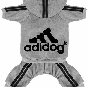 Small Dog Adidas track suit